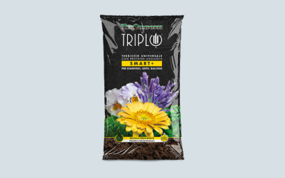 triple intelligent +